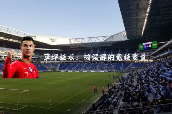 草坪技术：被误解的竞技变量